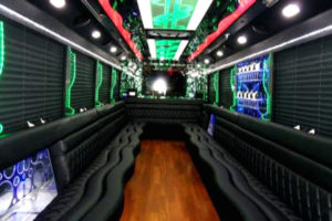 20 Passenger Party Bus 1 El Paso